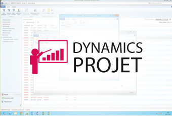 Dynamics-projet-demo