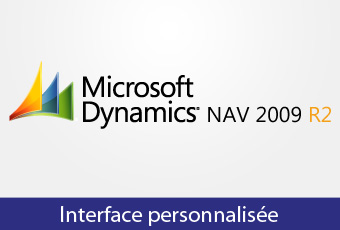 Interface-personnalisée-Microsoft-Dynamics-NAV-2009-R2